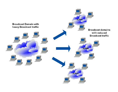 Большая сеть, сегментированнаяная на множество виртуальных сетей (VLAN